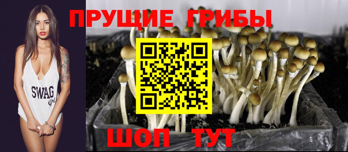 Галлюциногенные грибы ЛСД Магнитогорск